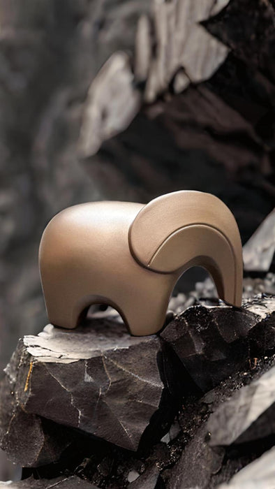 BRA ELEPHANT | Adriani e Rossi
