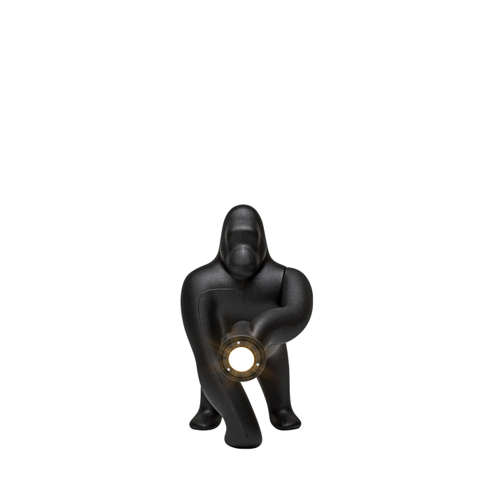 kong XS | QEEBOO