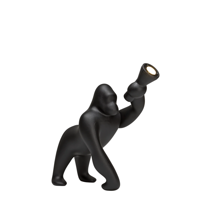 kong XS | QEEBOO