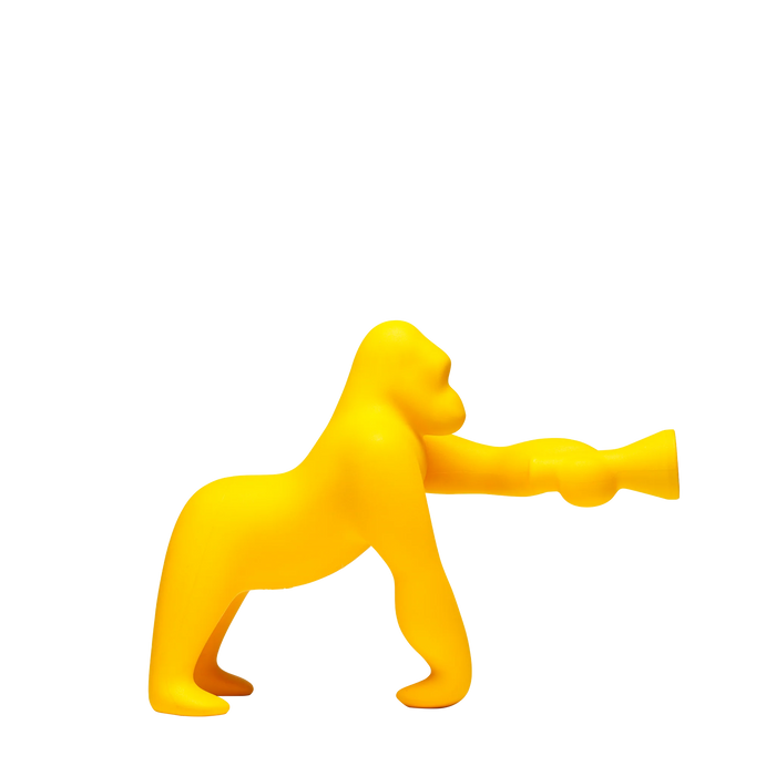 kong XS | QEEBOO