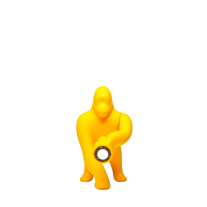 kong XS | QEEBOO