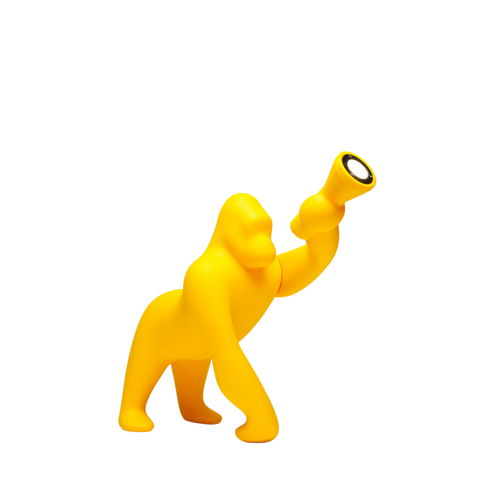 kong XS | QEEBOO