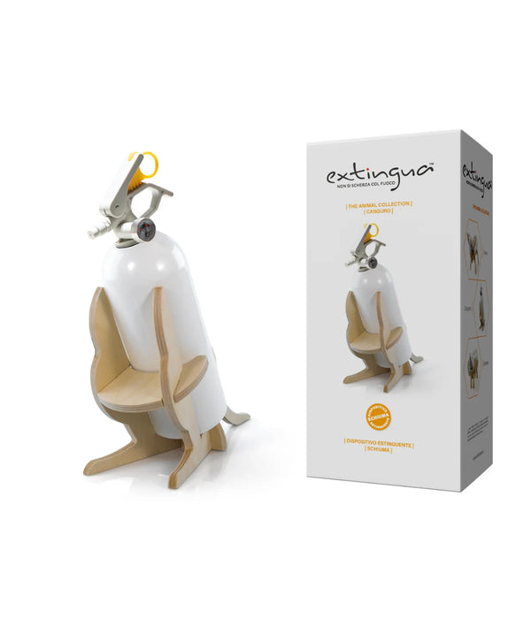 ESTINTORE PER LA CASA OMOLOGATO