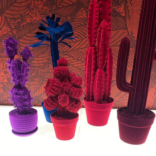 CACTUS Velvet | Adriani e Rossi