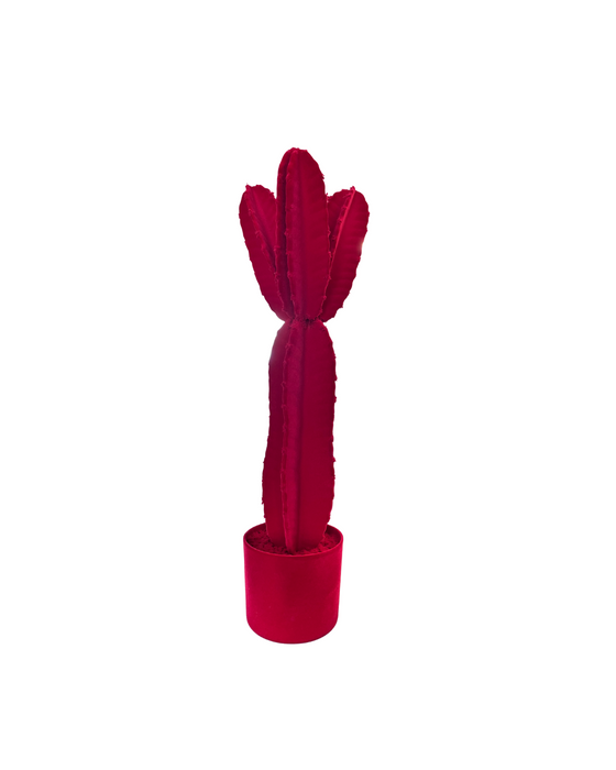 CACTUS Velvet | Adriani e Rossi