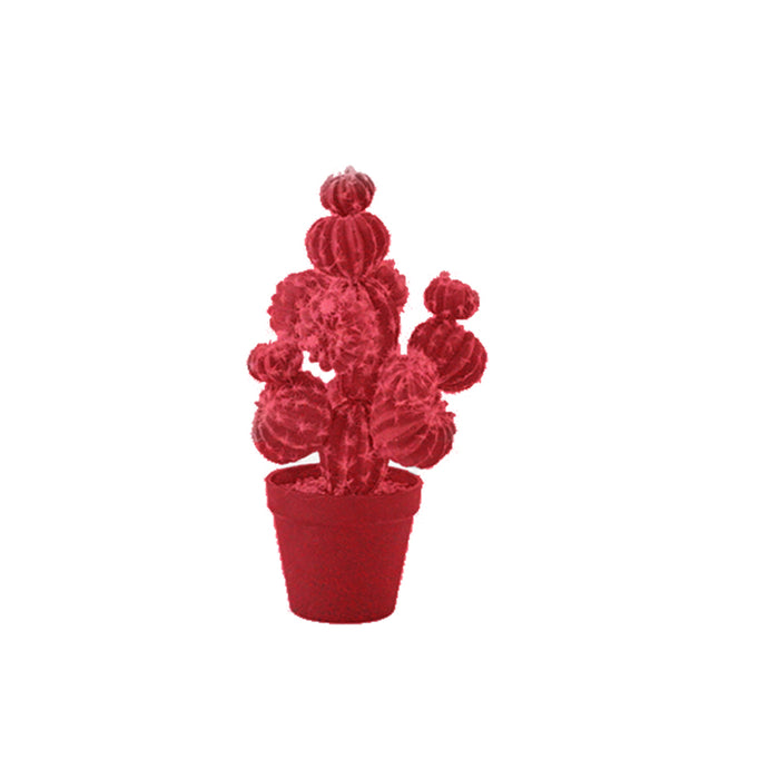 CACTUS Velvet | Adriani e Rossi