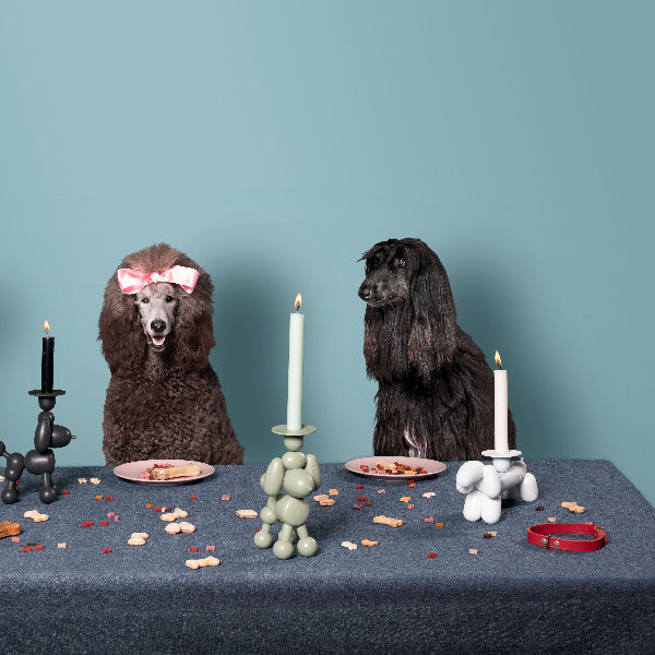 CAN-DOG & CAN-DOLLY | Fatboy